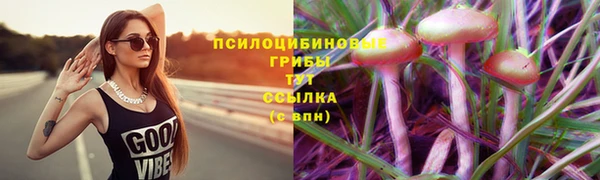 метамфетамин Богданович