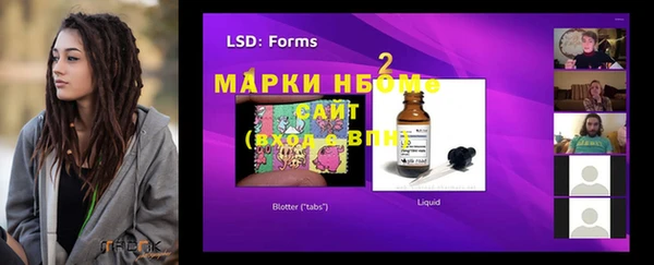 стаф Белокуриха