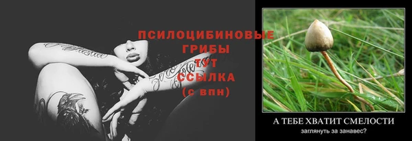 метамфетамин Богданович