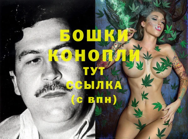 стаф Белокуриха