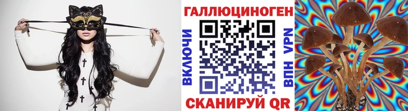omg онион  Светлогорск  Галлюциногенные грибы GOLDEN TEACHER 